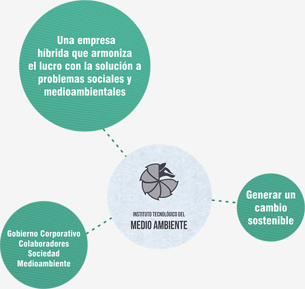 El enfoque de empresa del Instituto Tecnológico del Medio Ambiente